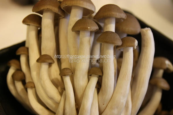 海鲜菇炒萝卜秋葵的做法图解1