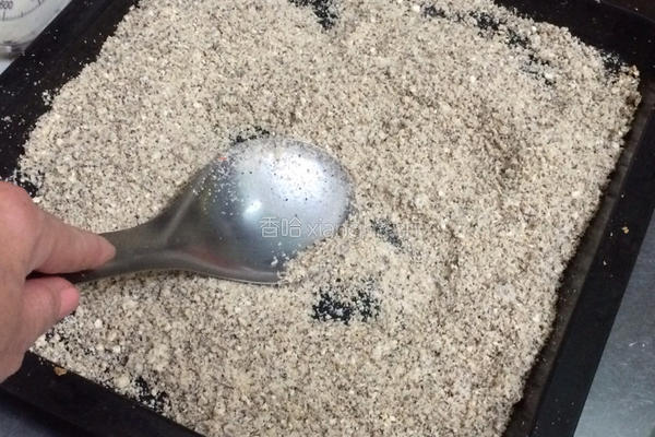 海苔素甘松的做法图解3