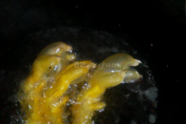 鸭脚煲的做法图解1