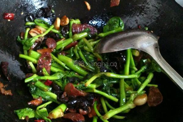 香肠炒菜苔的做法图解5