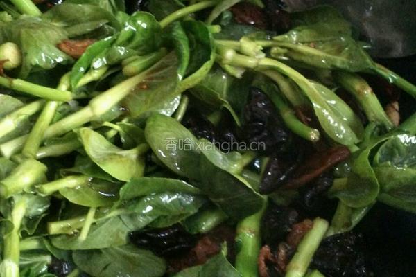 香肠炒菜苔的做法图解4