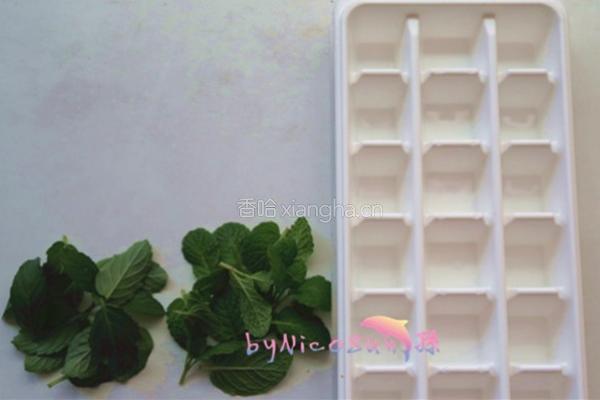 机冷压橄榄油的做法图解2