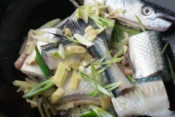 针鲮鱼炖香椿的做法图解4