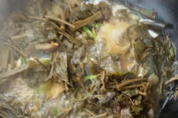 针鲮鱼炖香椿的做法图解5