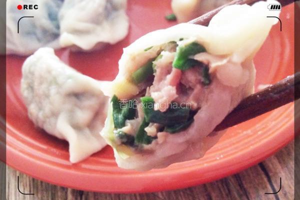 春韭小鲜肉饺子的做法图解8