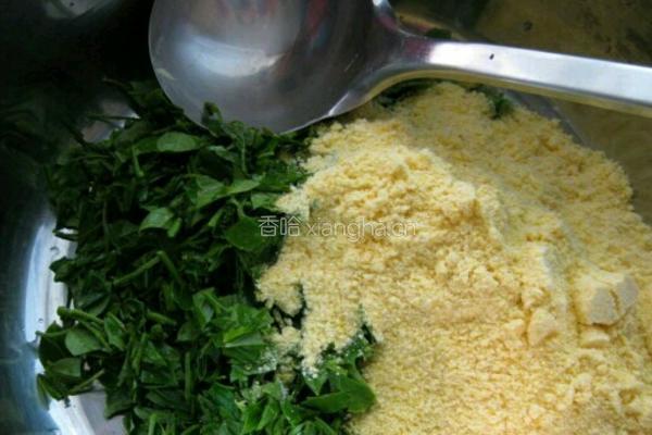 花椒芽玉米饼的做法图解2
