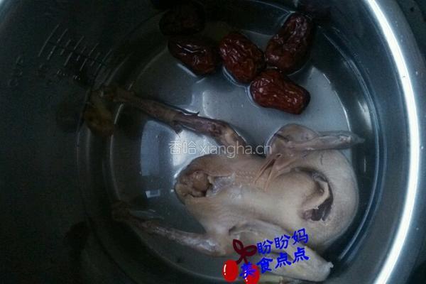 红枣鸽子汤的做法图解3