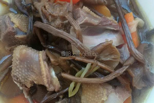 乳鸽菌煲汤
