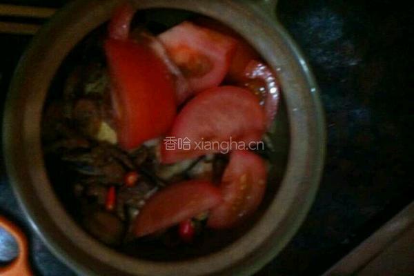红烧豆腐煲的做法图解5