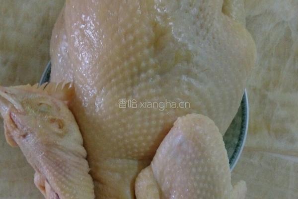 清炖整只鸡的做法图解1