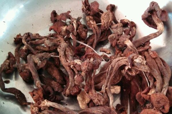 东北蘑菇猪肉炖粉条的做法图解1