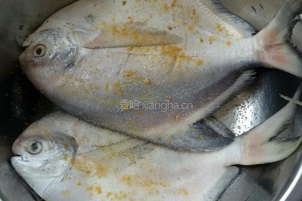 干烧平鱼的做法图解2