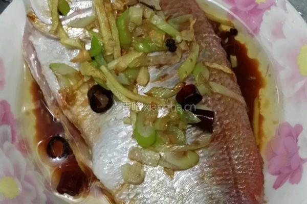 蒸红鲷鱼的做法图解2