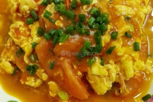 番茄炒蛋的做法图解6