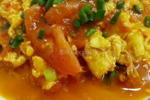番茄炒蛋的做法图解7