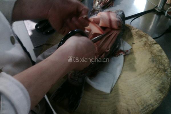 金毛狮子鱼的做法图解3