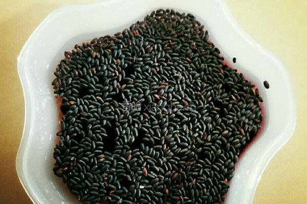 自制黑米茶的做法图解1