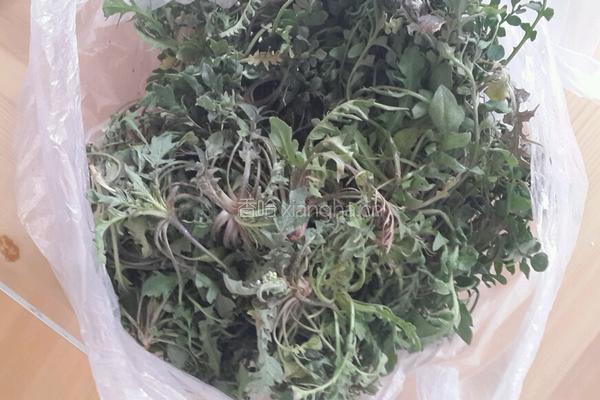 荠菜煎鸡蛋的做法图解1