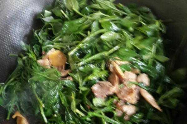 辣椒叶炒肉片的做法图解5