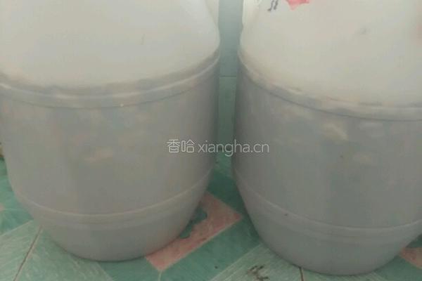酵酵素的做法图解1