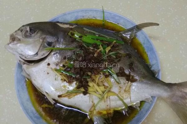 蒸黄鲳鱼