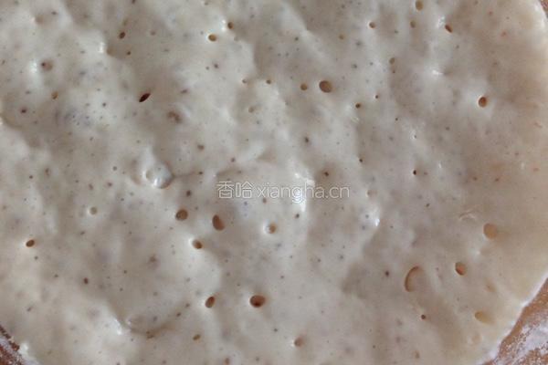 波兰种吐司的做法图解1