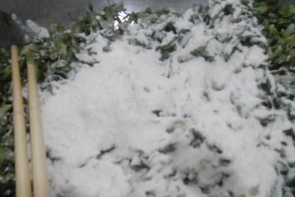 洋槐花菜的做法图解3