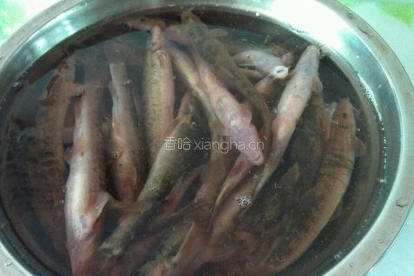 炸泥鳅鱼的做法图解1