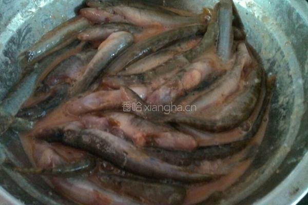 炸泥鳅鱼的做法图解2