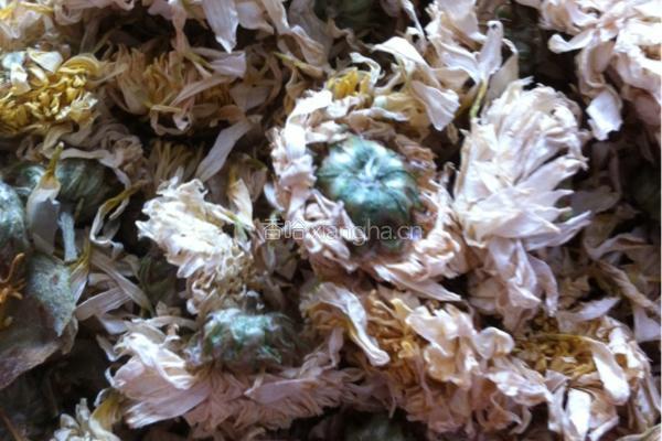菊花枸杞茶的做法图解1