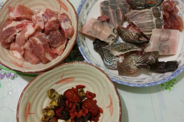 草龟炖排骨的做法图解1