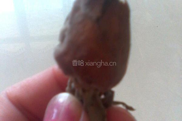 玫瑰花茶的做法图解2