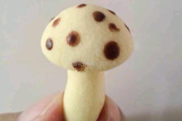 蘑菇小饼干