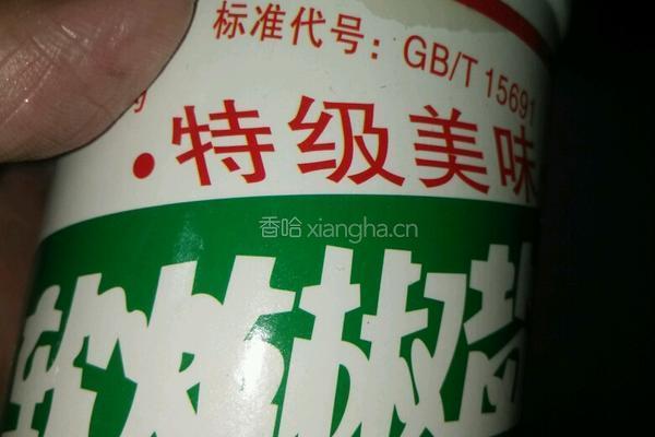 软炸肉的做法图解4