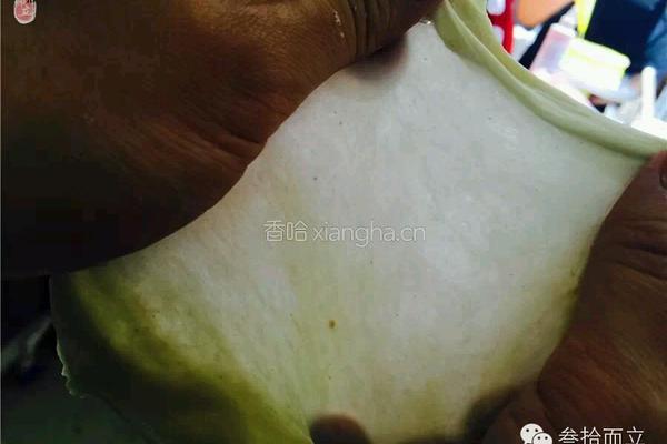 <面包>苹果图兰朵天然酵母面包制作配方（图文教程）-叁拾而立烘焙学院，配方每周五更新的做法图解6