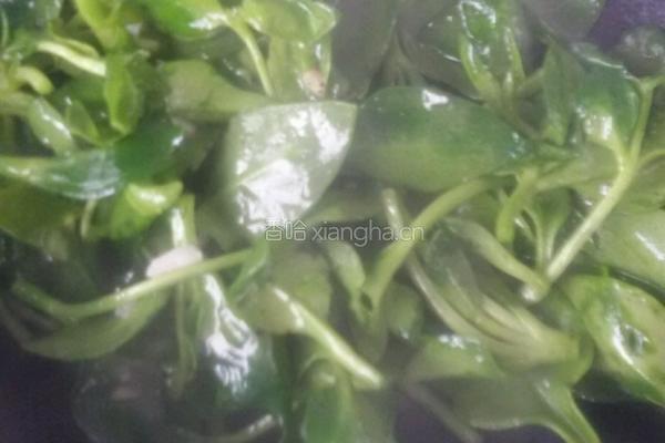 蒜炒穿心莲。的做法图解3