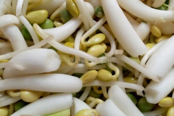 高考食谱#忠臣电器#野母鸡汤的做法图解4