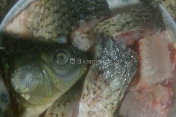 得莫利炖鱼贴饼的做法图解1