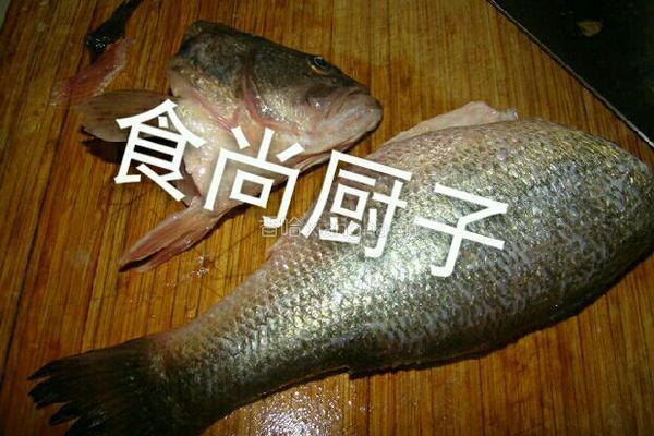 糖醋松子鱼的做法图解1