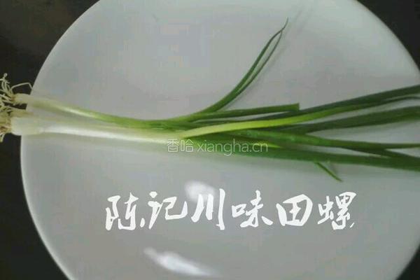 陈记铁板豆腐的做法图解3