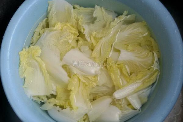 萝卜燜大白菜的做法图解2