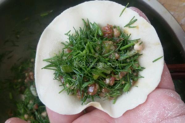 茴香馅饺子。的做法图解3