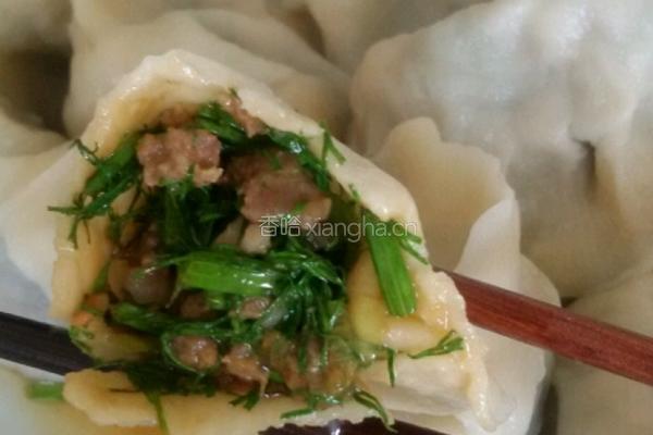 茴香馅饺子。的做法图解5