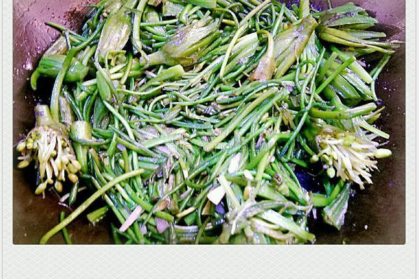 清炒洱海海菜的做法图解4