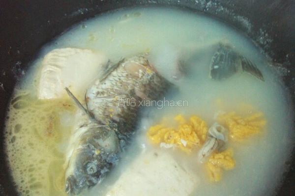 鲫鱼豆腐汤的做法图解8