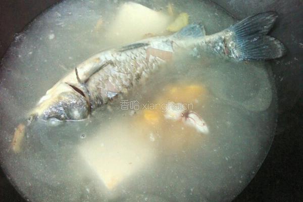 鲫鱼豆腐汤的做法图解6