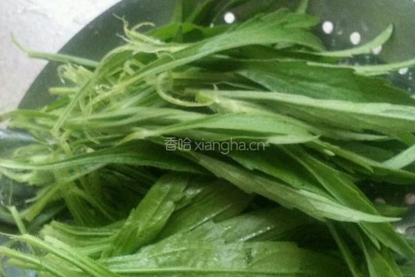 凉拌蒲公英的做法图解1