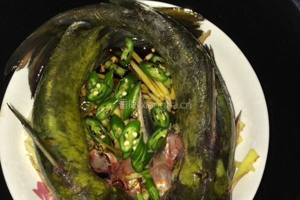 清蒸黄骨鱼的做法图解4