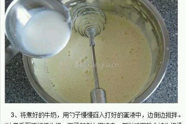 哈根达斯（家庭版）的做法图解3