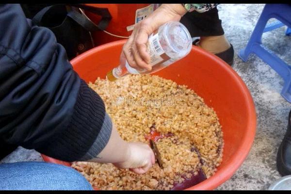 广式腊肠的做法图解3